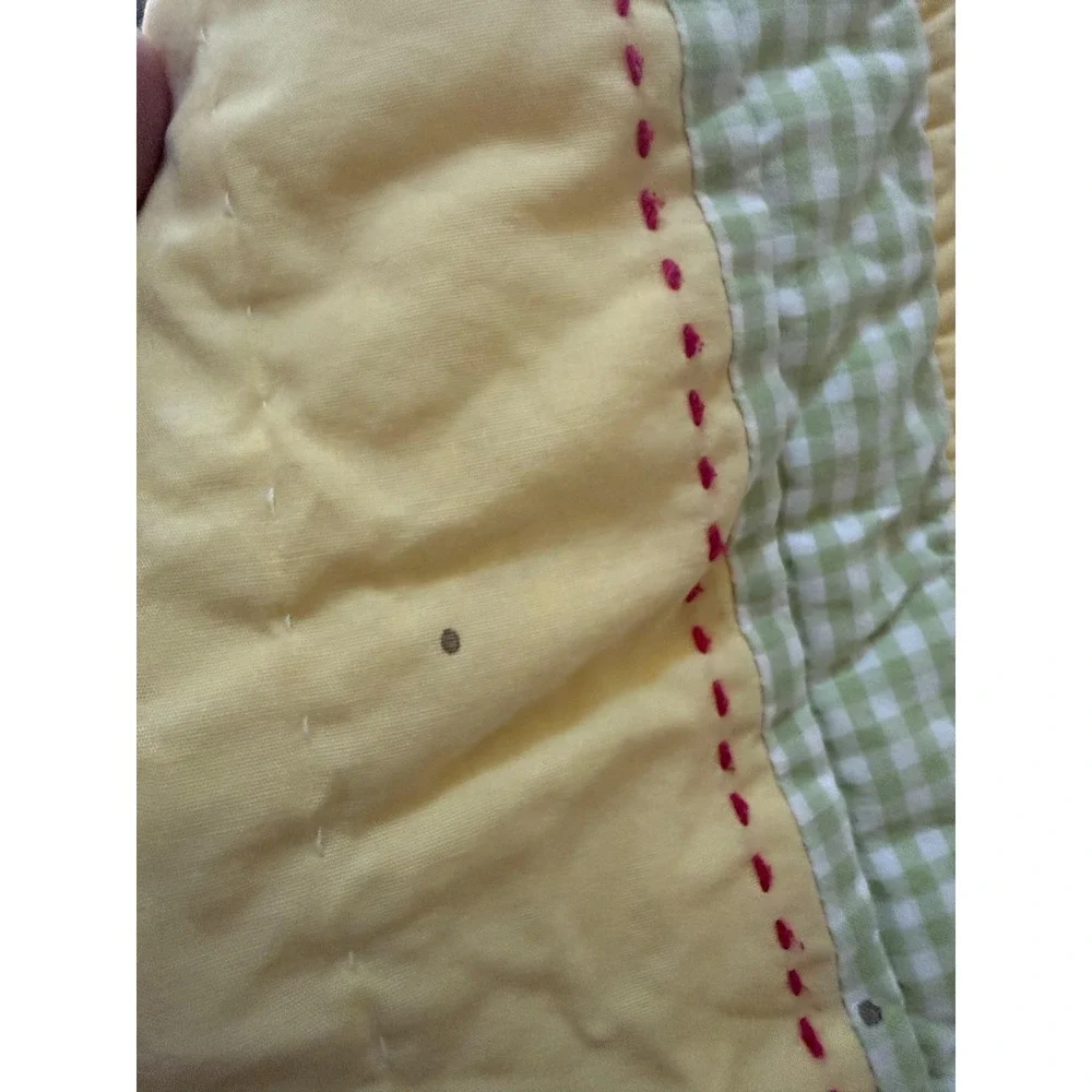 Pottery Barn Kids Queen Quilt Girls 3 Shams Pink Green Yellow Embroidered